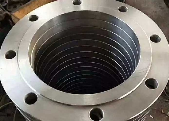 Nickle Alloy Flat Welding Flange Hastelloy C4 Catalytic Support System